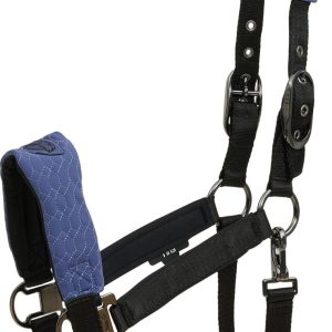 Halster catago blauw/paars full