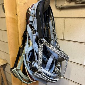 Halsters_diverse_Full