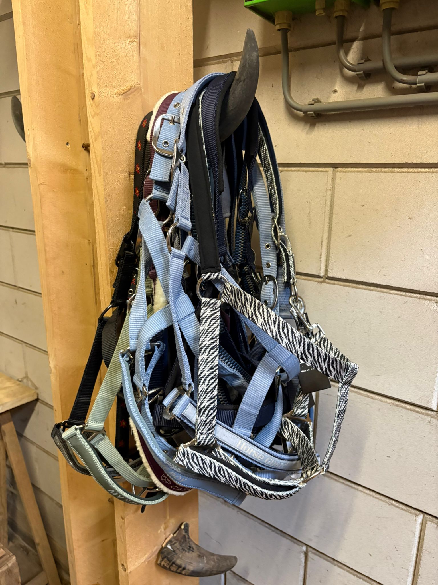 Halsters_diverse_Full