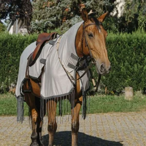 Riding world vliegenuitrijdeken maat 125