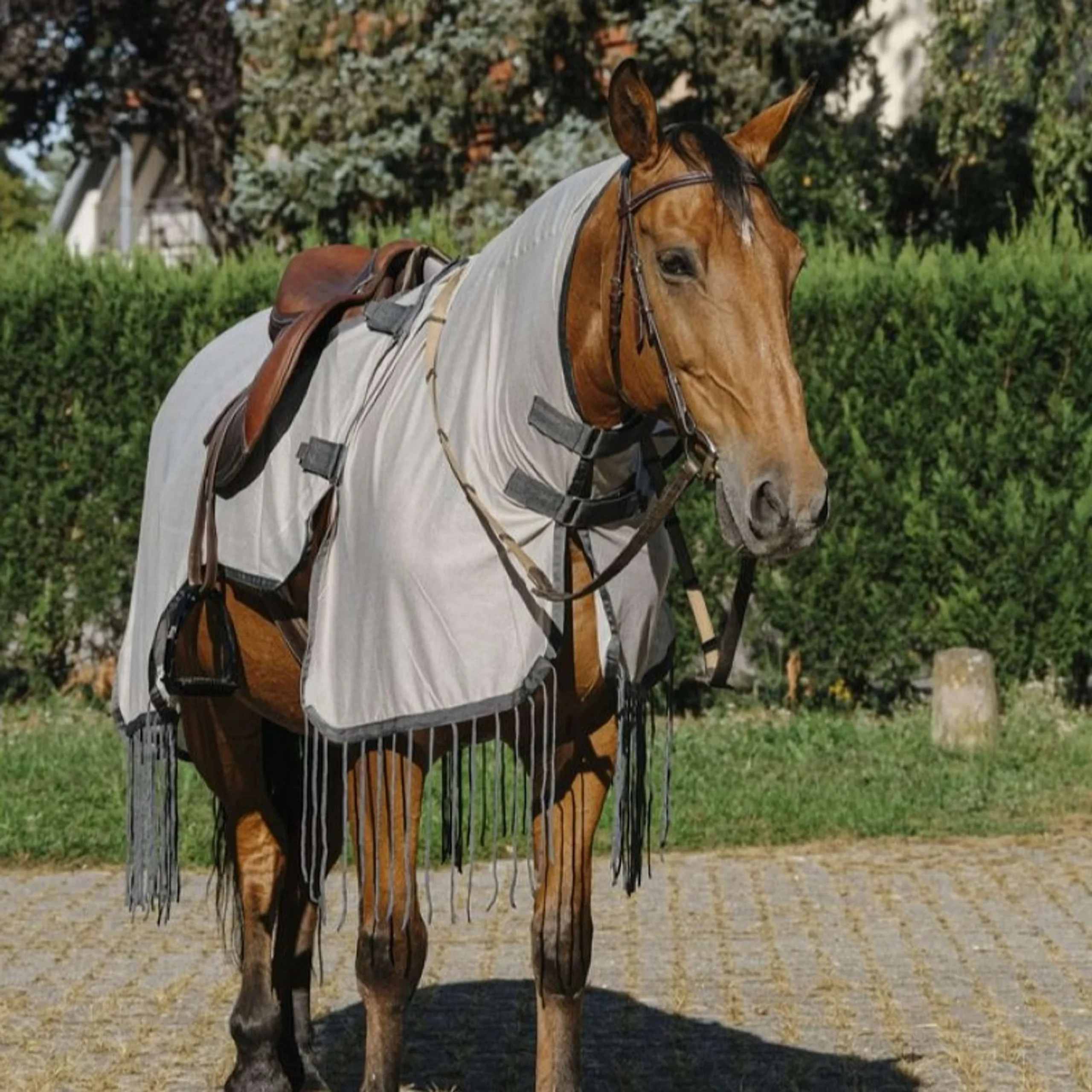 Riding world vliegenuitrijdeken maat 125