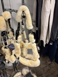 Lemieux Bonthalster pony 