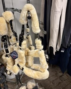 Lemieux Bonthalster pony