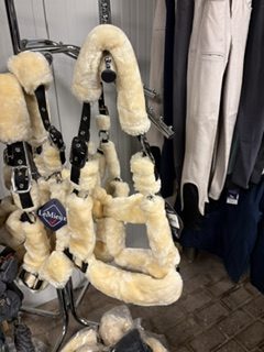 Lemieux Bonthalster pony
