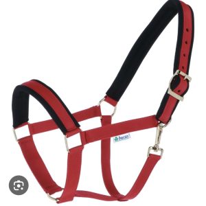 Bucas halster rood cob