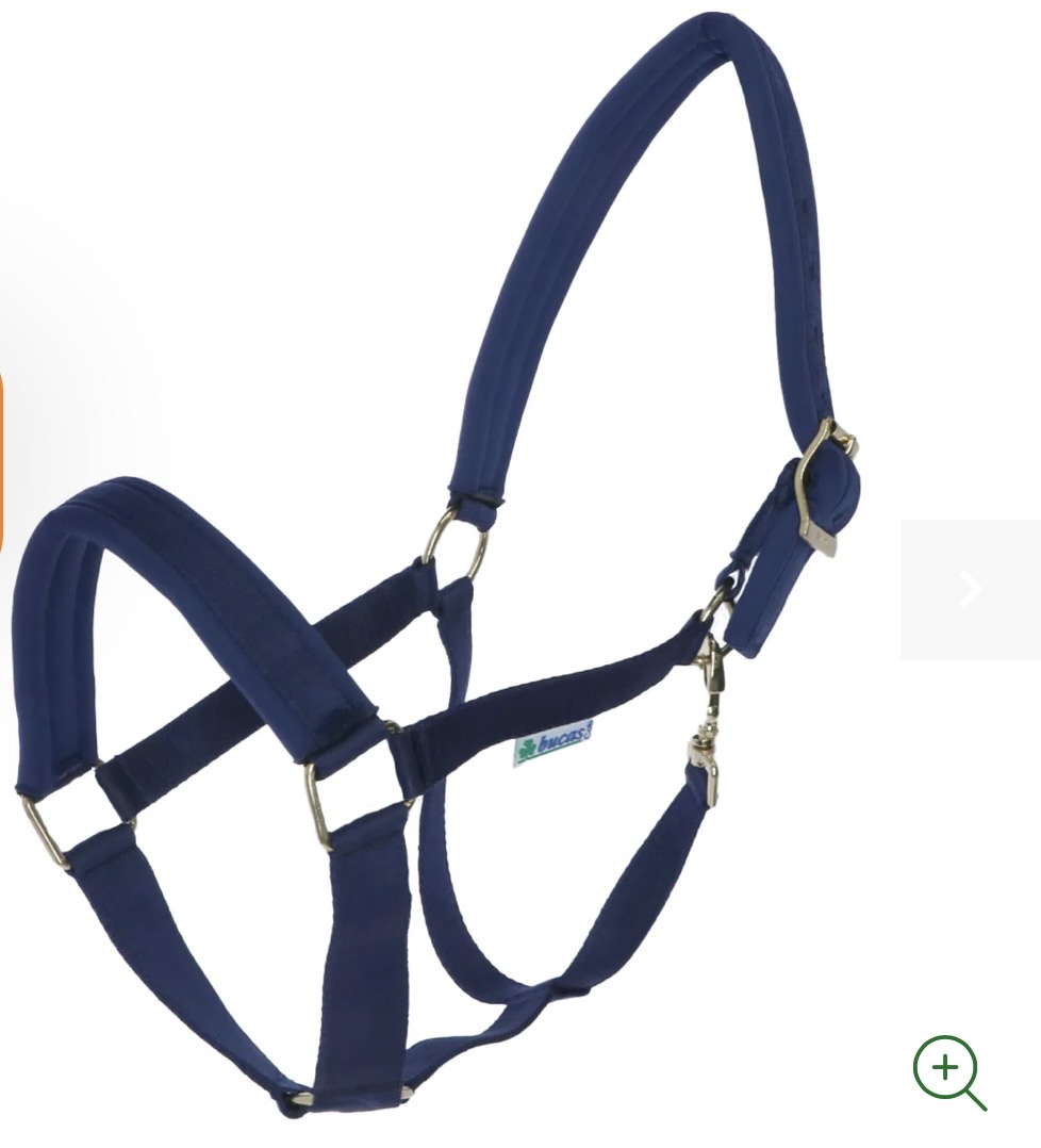 Bucas halster blauw xl